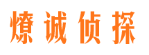 钢城市侦探公司